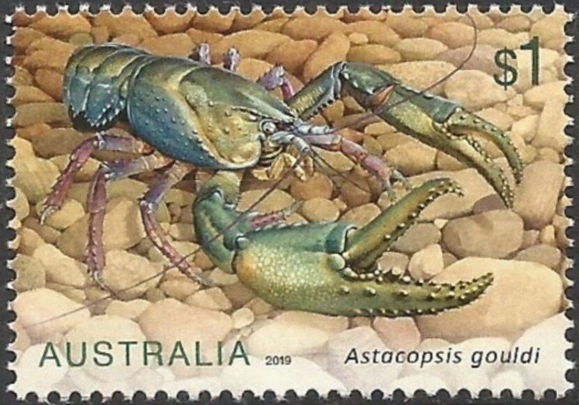 The Convict Past : Swan River