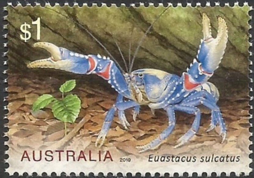 C is for Camping, Canberra, Crocodile and Cockie