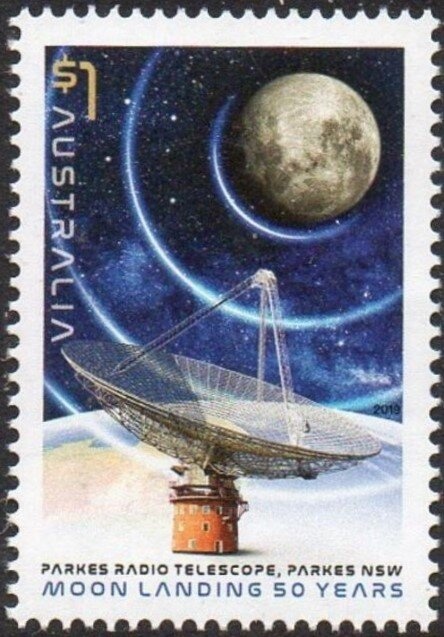 Kookaburra (Dacelo novaeguineae), perforated OS