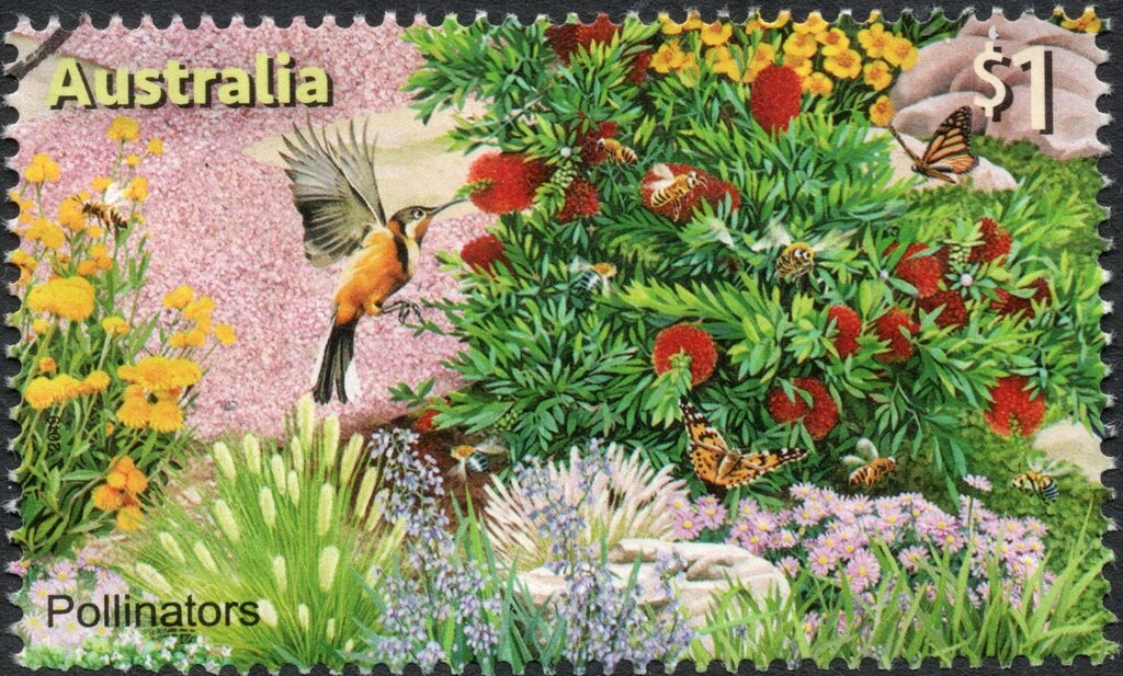 Work by Lucy Malirrimurruwuy