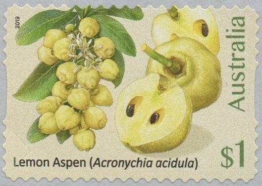 King George V, Perforated OS