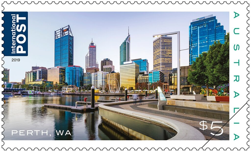 Kangaroos in Drought-Stricken Area