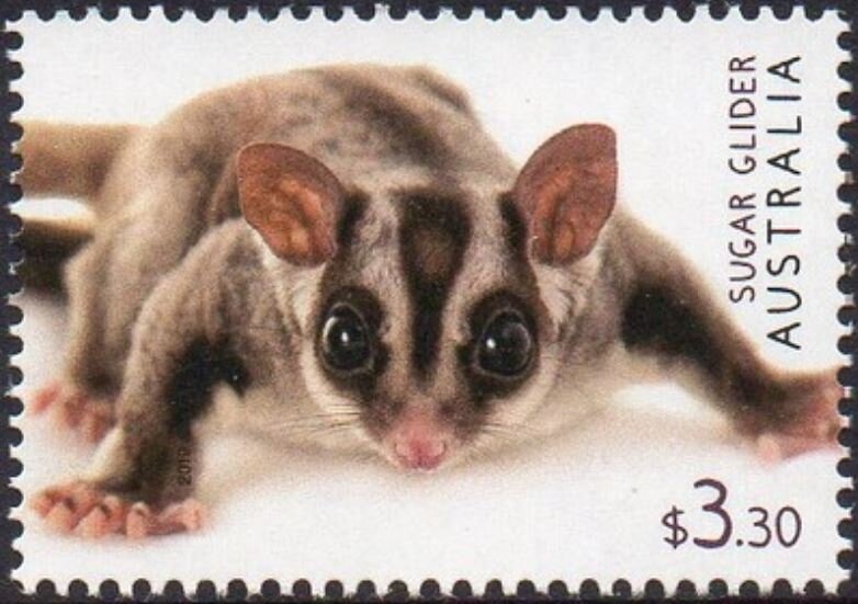 Frances Henty & Phoenician