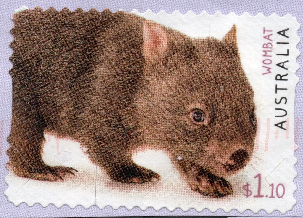 Adoration of the Magi