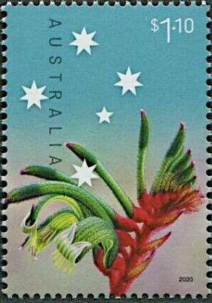 Emperor Angelfish (Pomacanthus imperator)