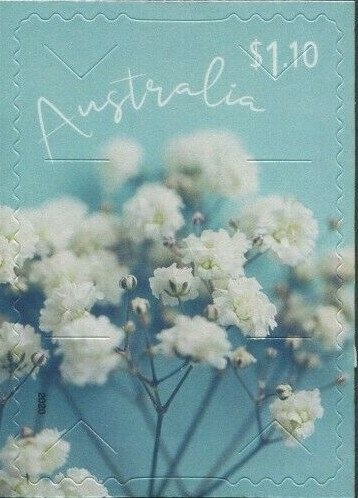 Botanic Garden, Mount Tomah, NSW