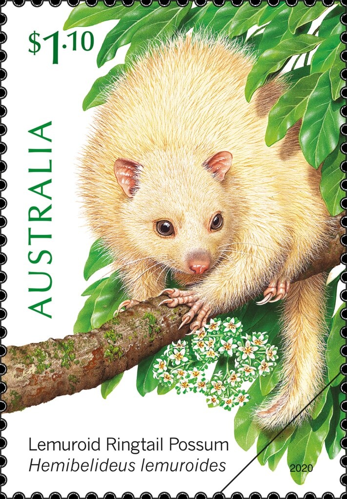 Custom-made Road Bike, 2015