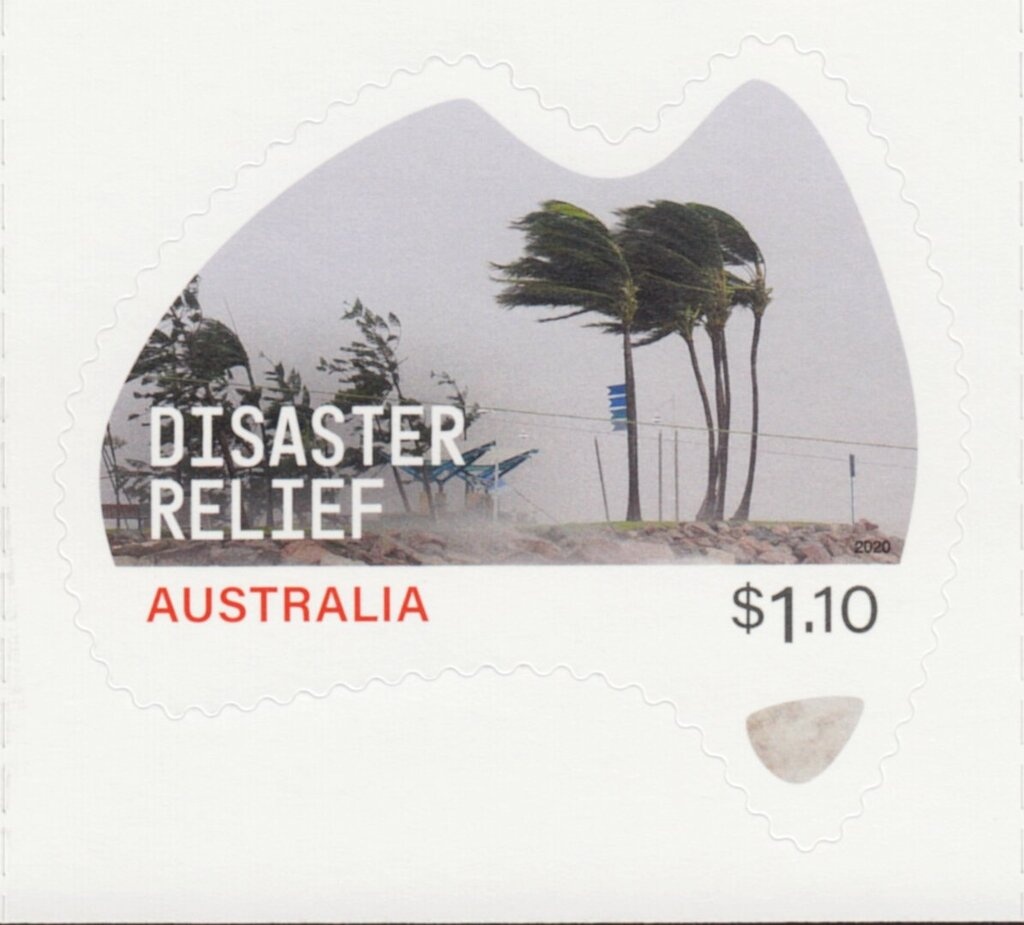 Sandgrinder cicada (Arenopsaltria fullo)