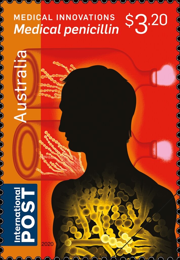 Beautiful Firetail (Stagonopleura bella)