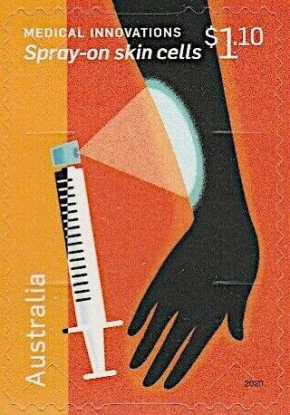 Rufous Owl (Ninox rufa)