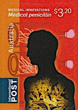 Plumed Whistling Duck (Dendrocygna eytoni)