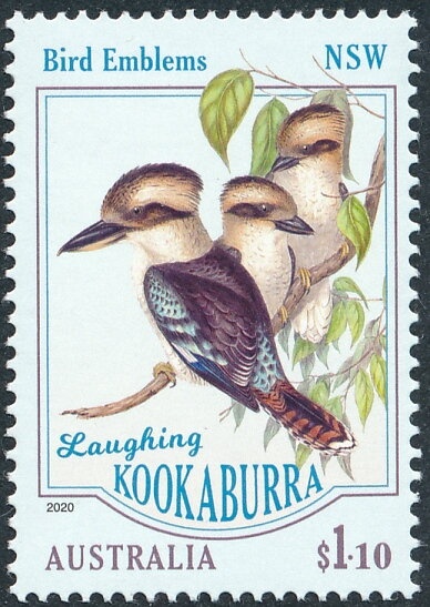 Shinka - Little Rundle Street, Adelaide