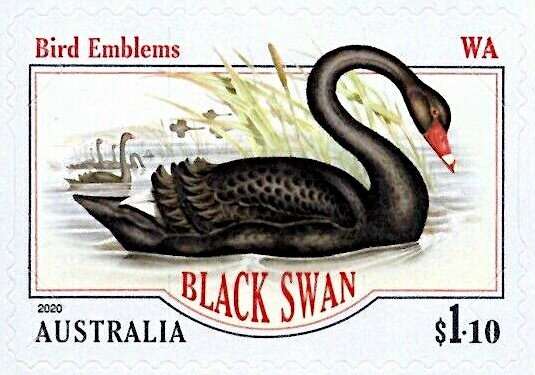 Sydney Olympic Park Aquatic Centre