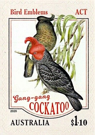 Animals in War - Soldier with Pack Mule