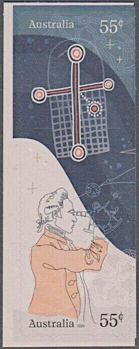 Blue Mountains Water Skink (Eulamprus leuraensis)