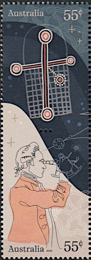 Miniature Schnauzer (Canis lupus familiaris)