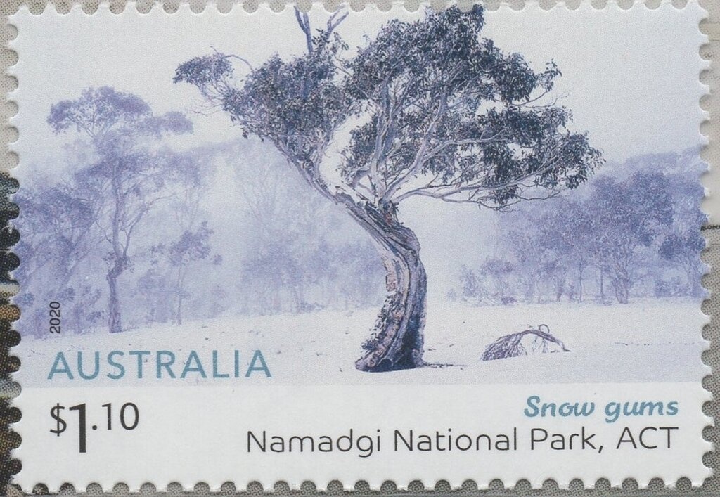 Ngukurr Wi Stadi Bla Kantri (We Study The Country)