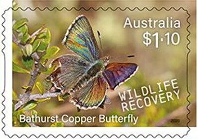 A is for Aussie Rules, Ant, and ANZAC memorial