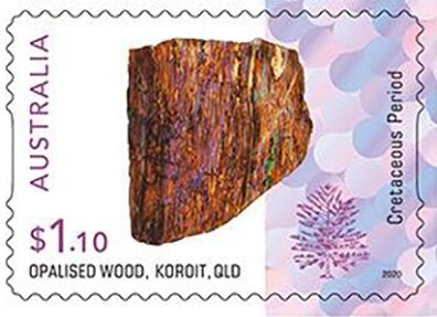 Davies’ Tree Frog (Litoria daviesae)