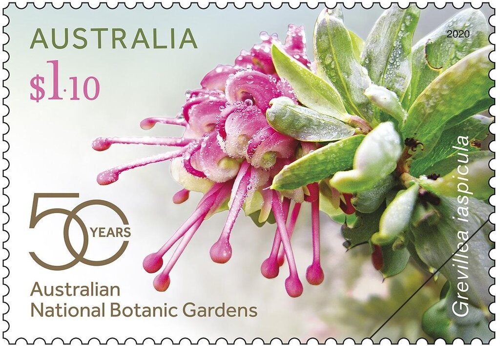 Mathew Belcher and Will Ryan : Sailing - Men's 470