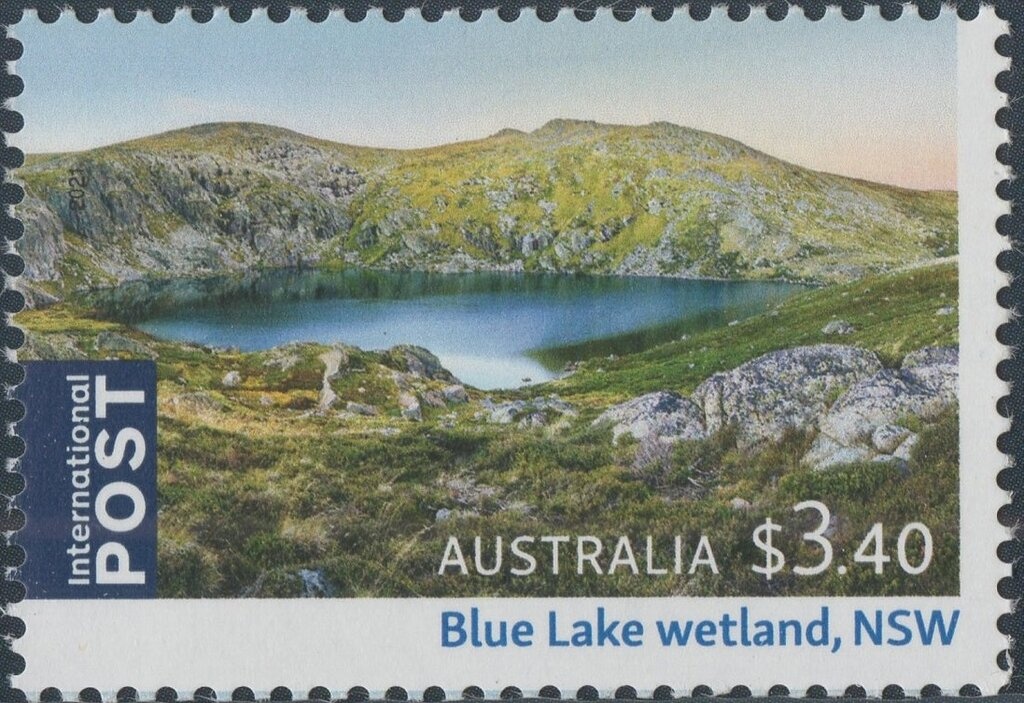 ASDA'96 on Domestic Animals II