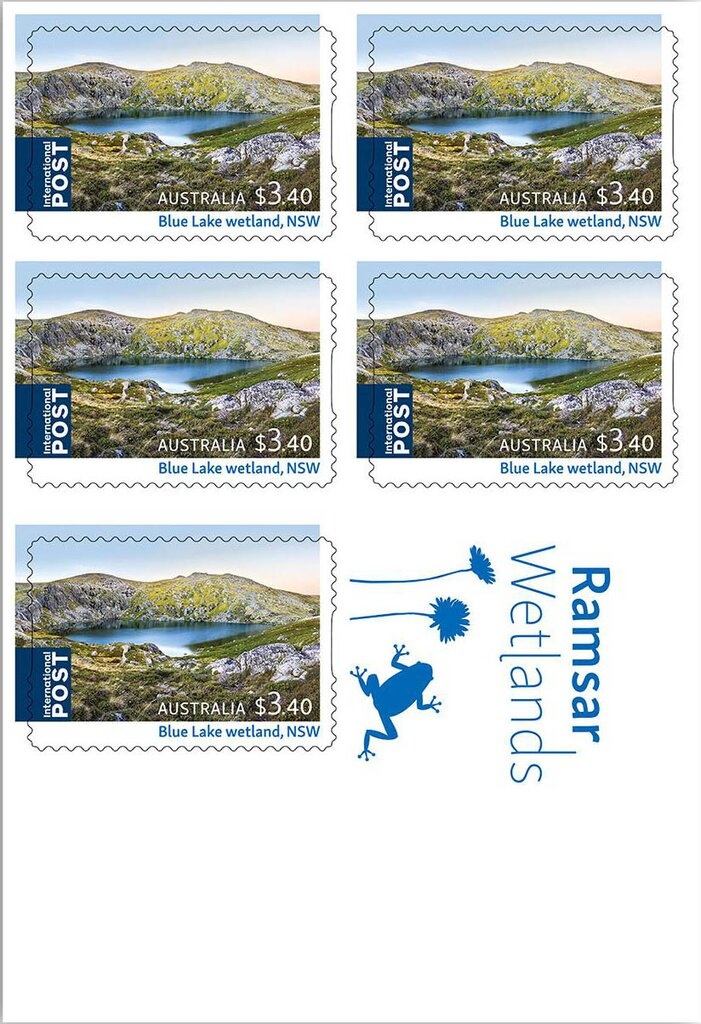 Animals in War - Soldier Riding Camel