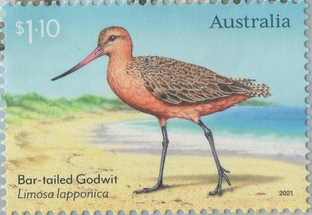 Kangaroo and Map, Perforated OS