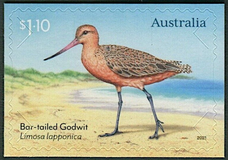 Cape Leeuwin, WA, 1896