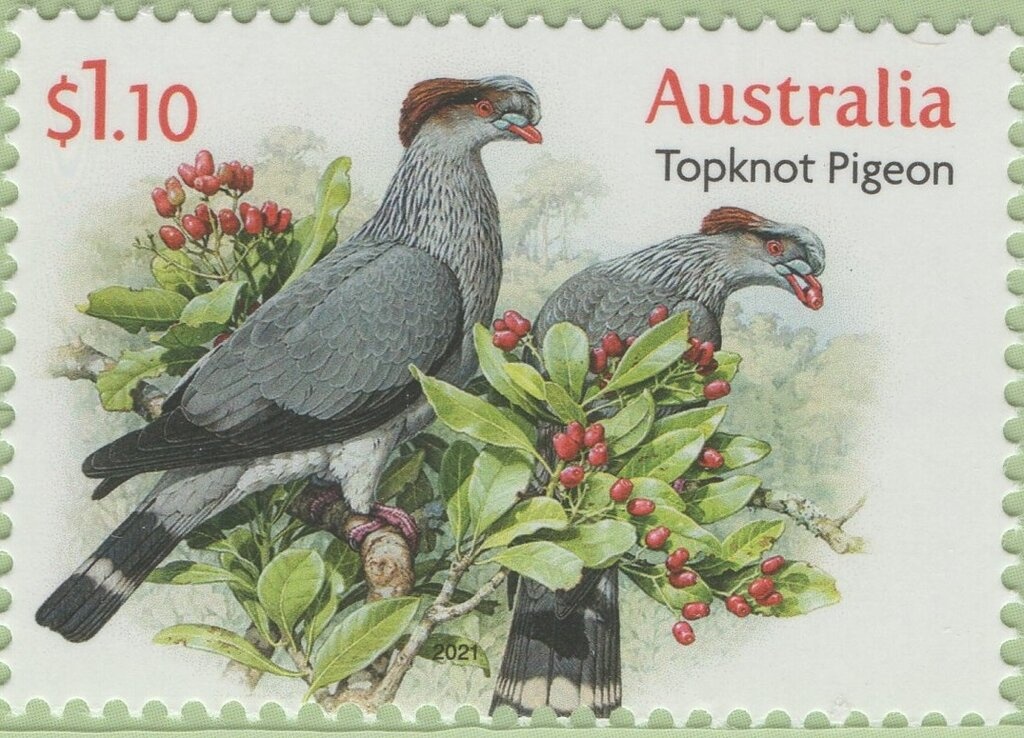 Christmas Tree -Christmas Gift