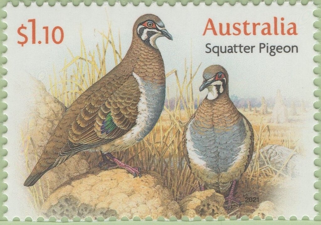 Australian Poultry