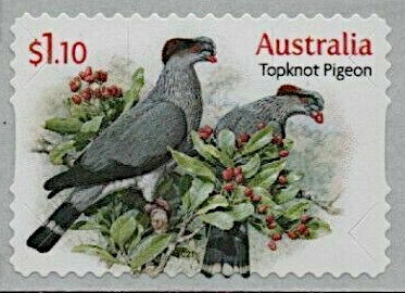 Swimming – Women's 4x100m Freestyle Relay