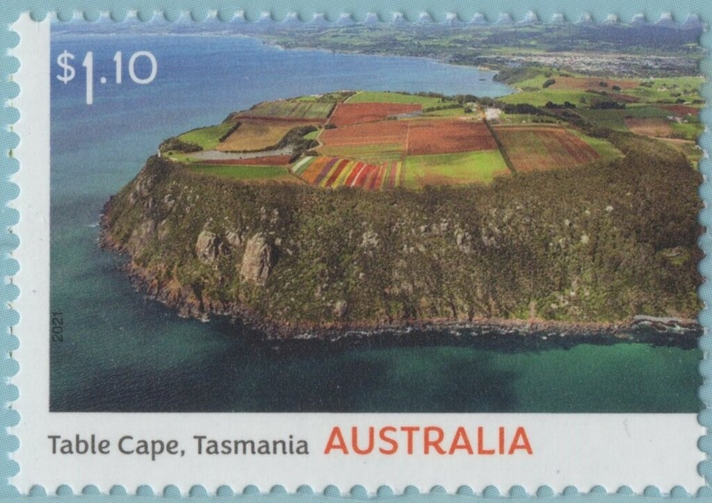 Southern Lights (Aurora Australis)