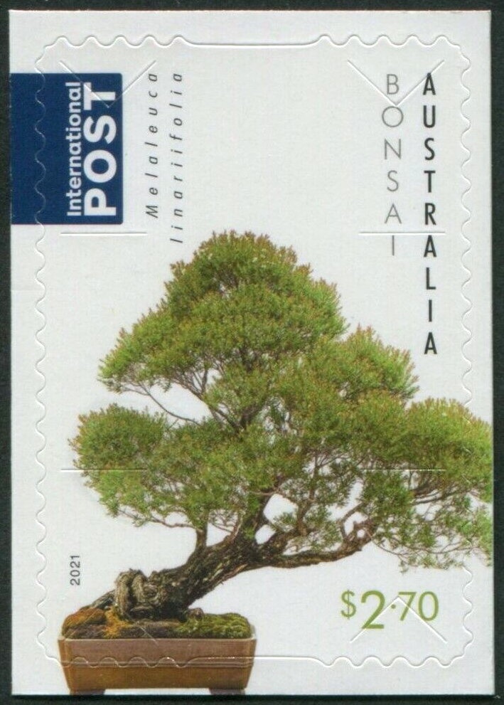 1996 Holden VR Commodore