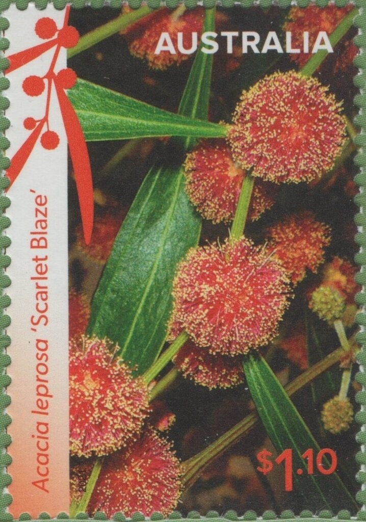 Australia's Ashes Victory