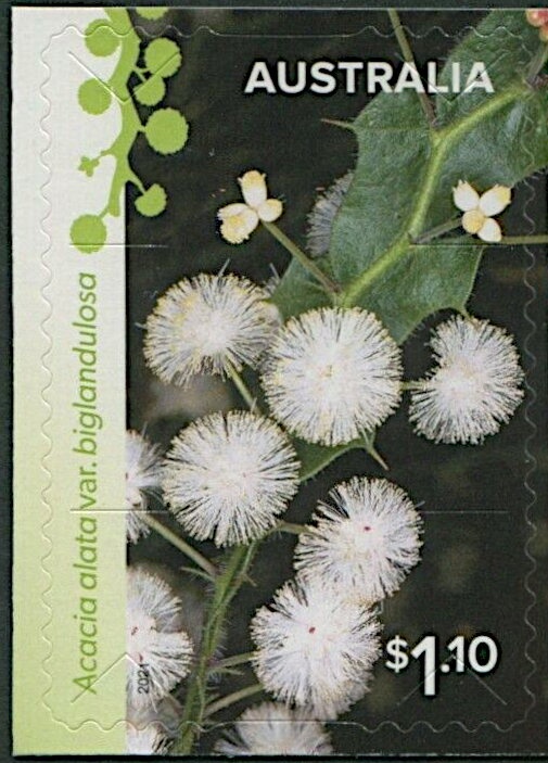 Design of Athol Shmith (1914-1990)