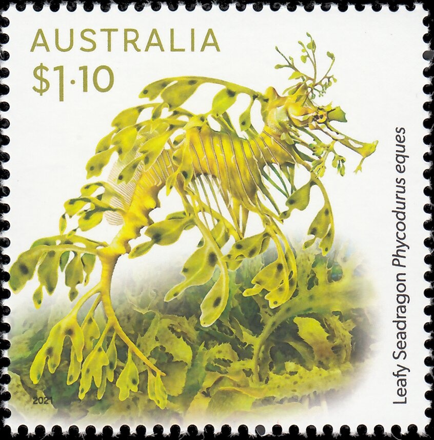 Kangaroo and Map, Perforated OS