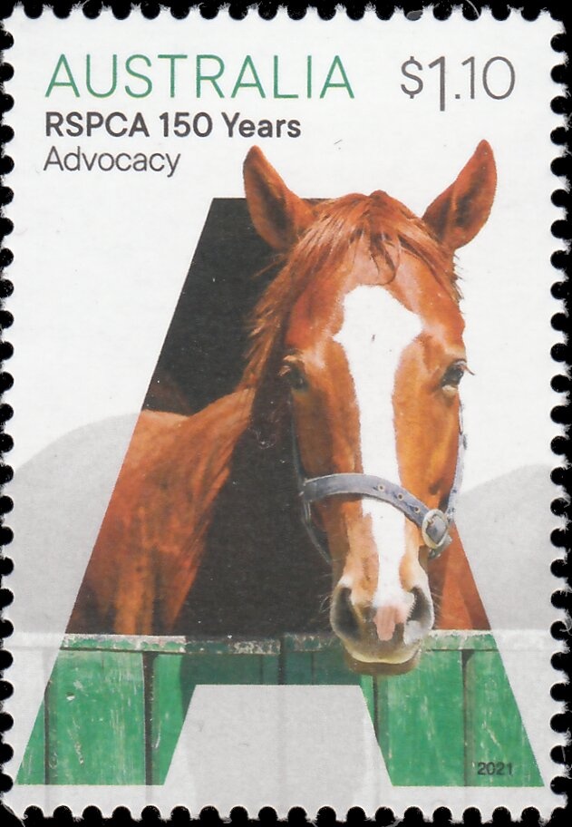 Blue Mountains National Park, NSW