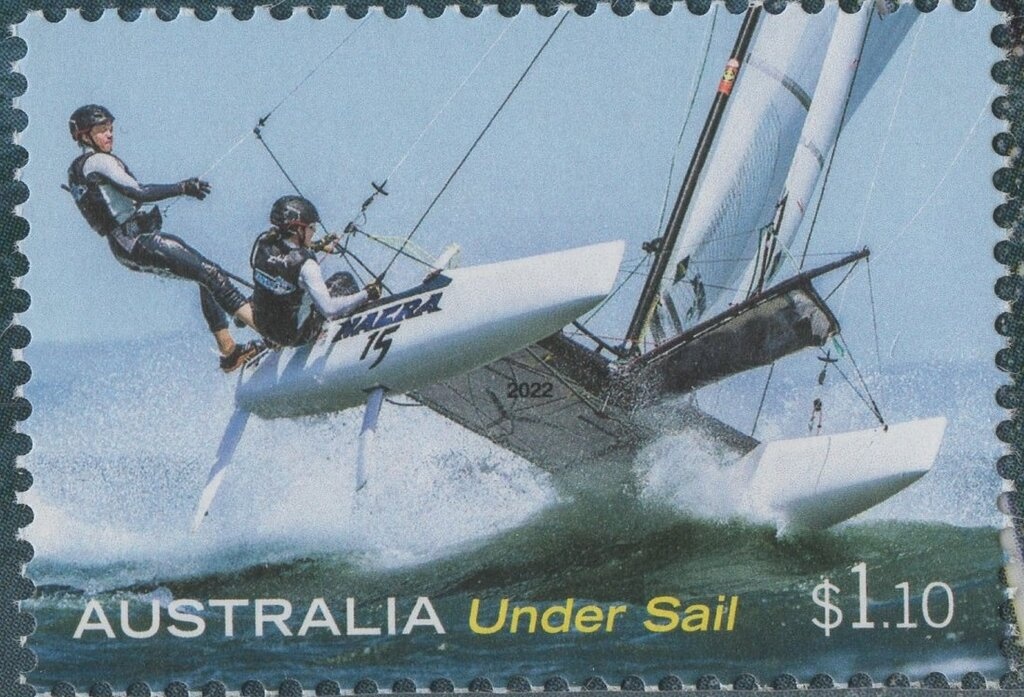 Common Heath (Epacris impressa)