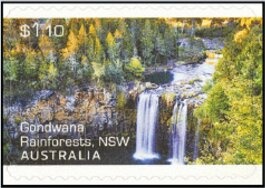 Western Lowland Gorilla (Gorilla gorilla gorilla)