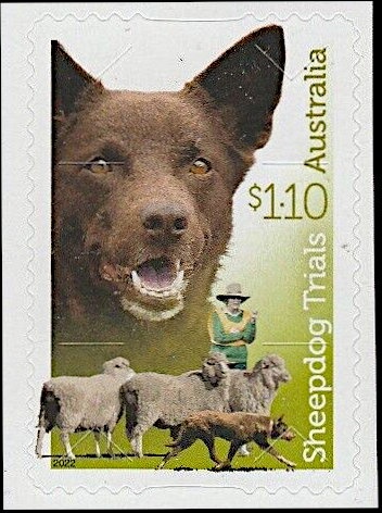 Murray River, South Australia