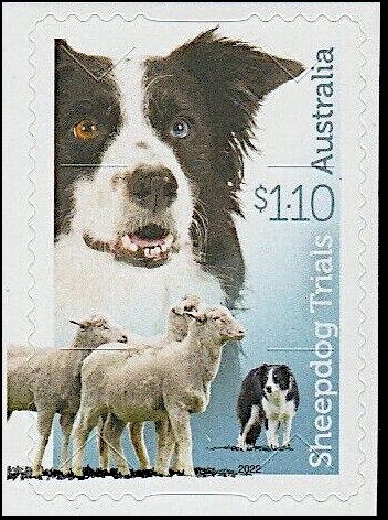 Moreton Bay Wetland, Queensland