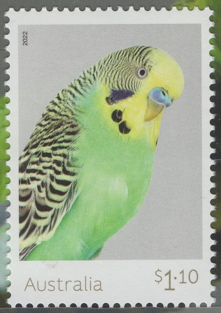 SCM: Our Solar System - Earth and Uranus