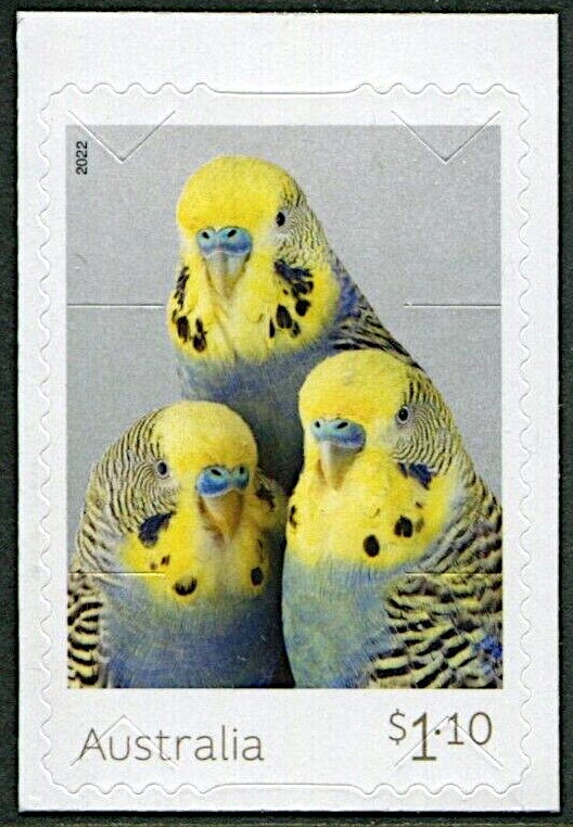 COVID : Melbourne's Recovery (Let's Melbourne Again)