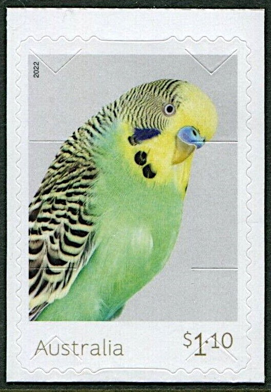 King George V, Perforated OS