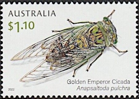 Historical Architecture- Government houses