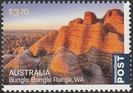 Golden Rock Orchid (Dockrillia striolata ssp.chrysantha)