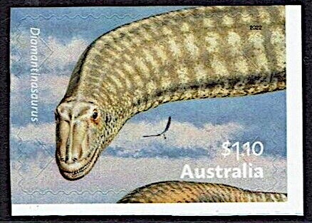 Kerguelen Cabbage (Pringlea antiscorbutica) and Lichens