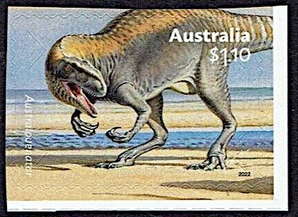 Emperor Angelfish (Pomacanthus imperator)