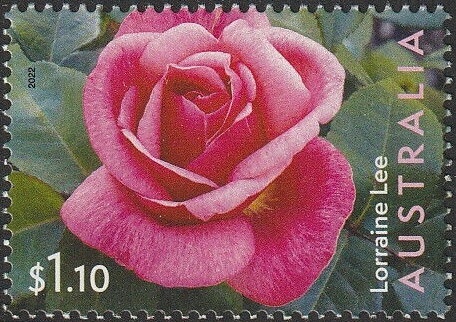 Hay Railway Station, NSW