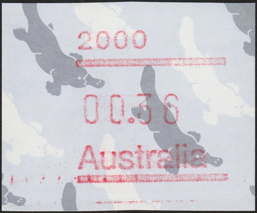 Tasman Island, TAS, 1906